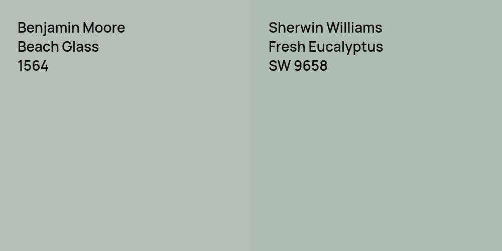 Benjamin Moore Beach Glass vs. Sherwin Williams Fresh Eucalyptus