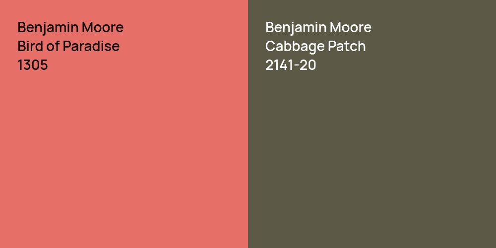 Benjamin Moore Bird of Paradise vs. Benjamin Moore Cabbage Patch