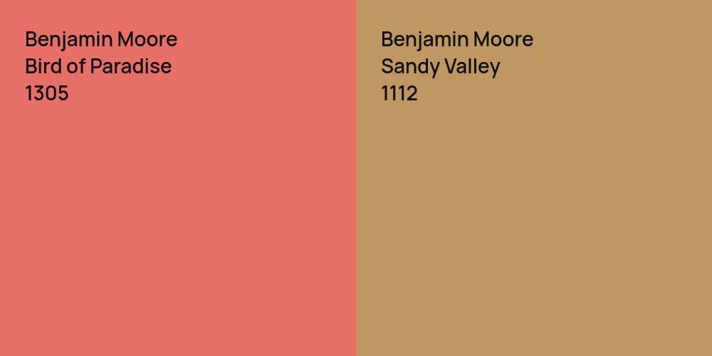 Benjamin Moore Bird of Paradise vs. Benjamin Moore Sandy Valley