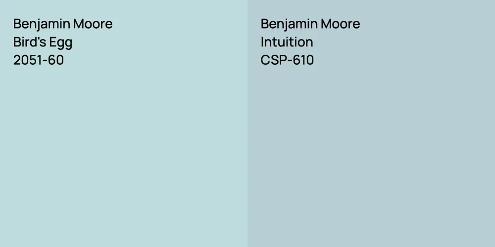 Benjamin Moore Bird's Egg vs. Benjamin Moore Intuition