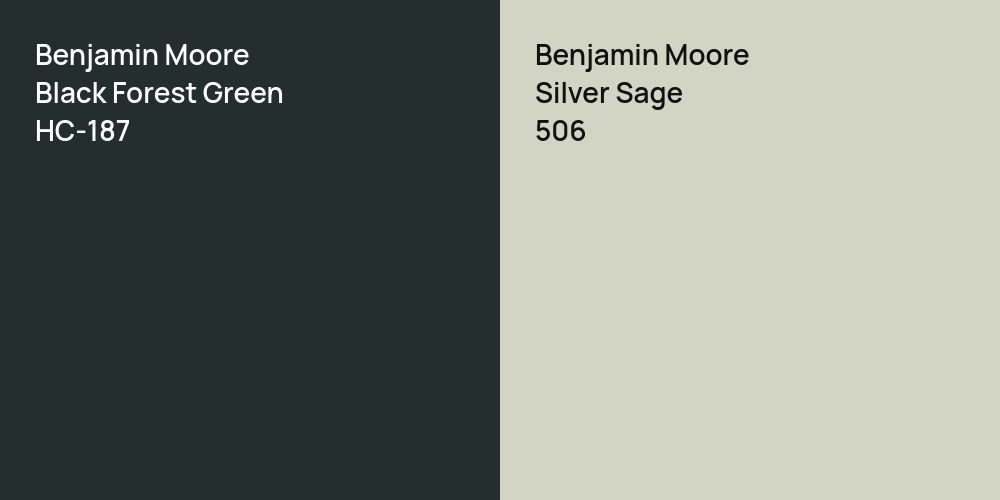 Benjamin Moore Black Forest Green vs. Benjamin Moore Silver Sage