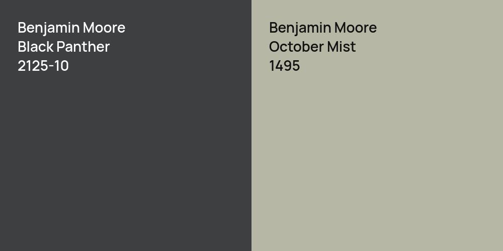 Benjamin Moore Black Panther vs. Benjamin Moore October Mist