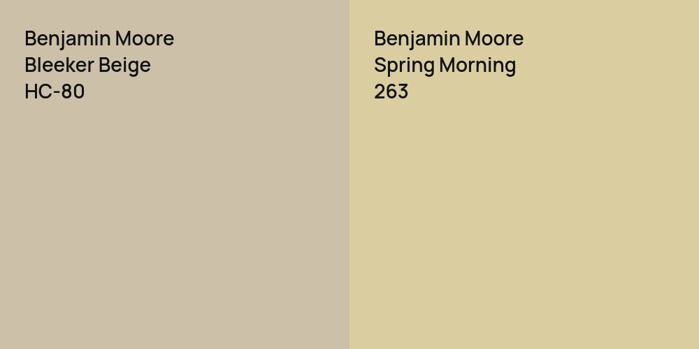 Benjamin Moore Bleeker Beige vs. Benjamin Moore Spring Morning