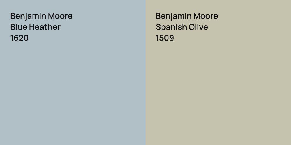 Benjamin Moore Blue Heather vs. Benjamin Moore Spanish Olive