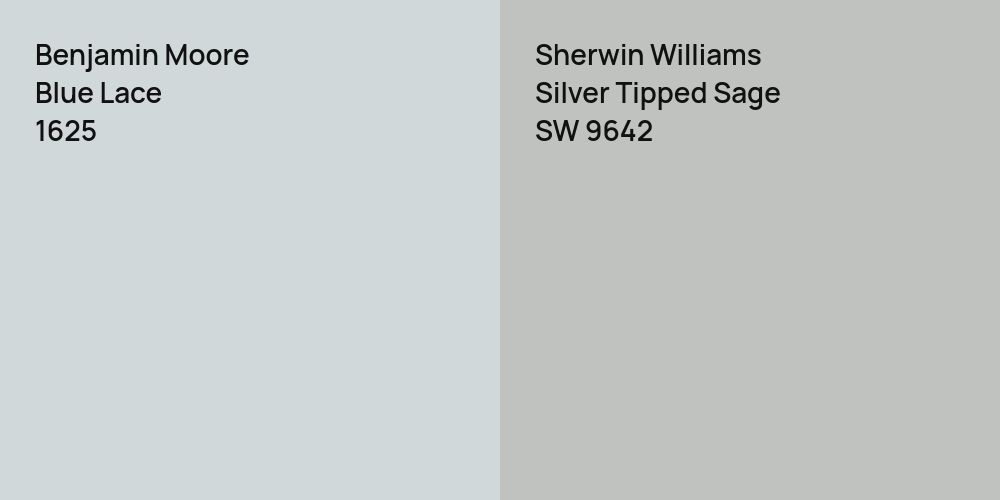 Benjamin Moore Blue Lace vs. Sherwin Williams Silver Tipped Sage