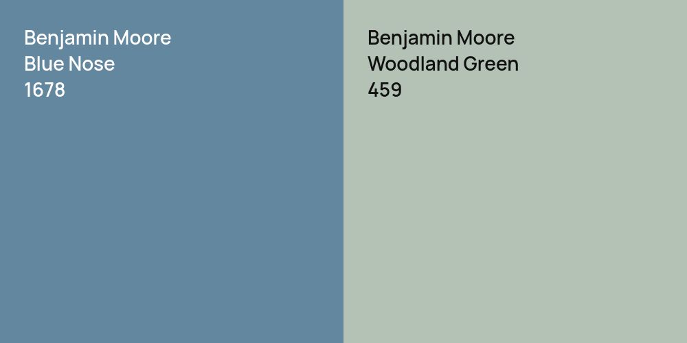 Benjamin Moore Blue Nose vs. Benjamin Moore Woodland Green