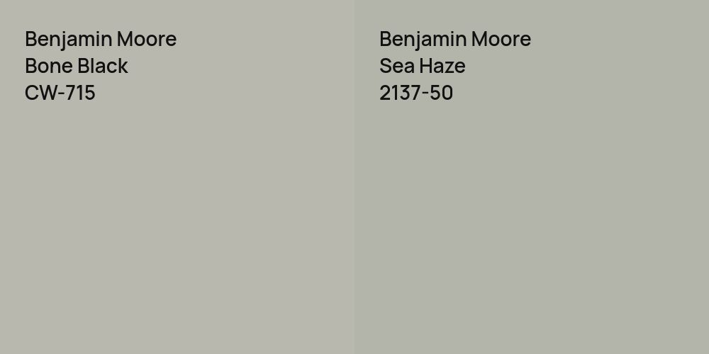 Benjamin Moore Bone Black vs. Benjamin Moore Sea Haze