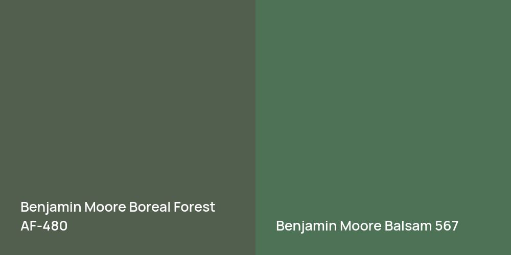 Benjamin Moore Boreal Forest vs. Benjamin Moore Balsam comparison