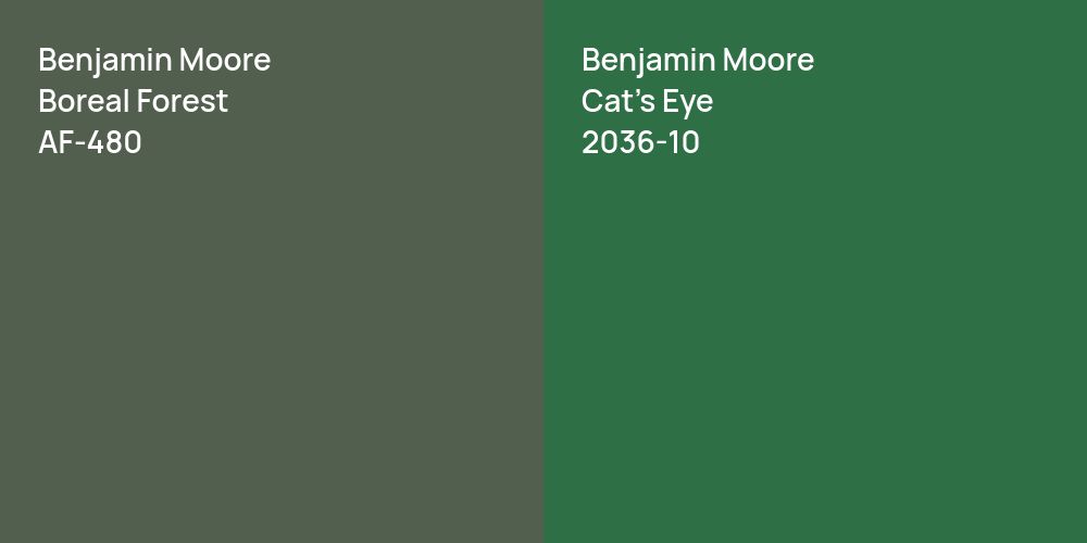 Benjamin Moore Boreal Forest vs. Benjamin Moore Cat's Eye