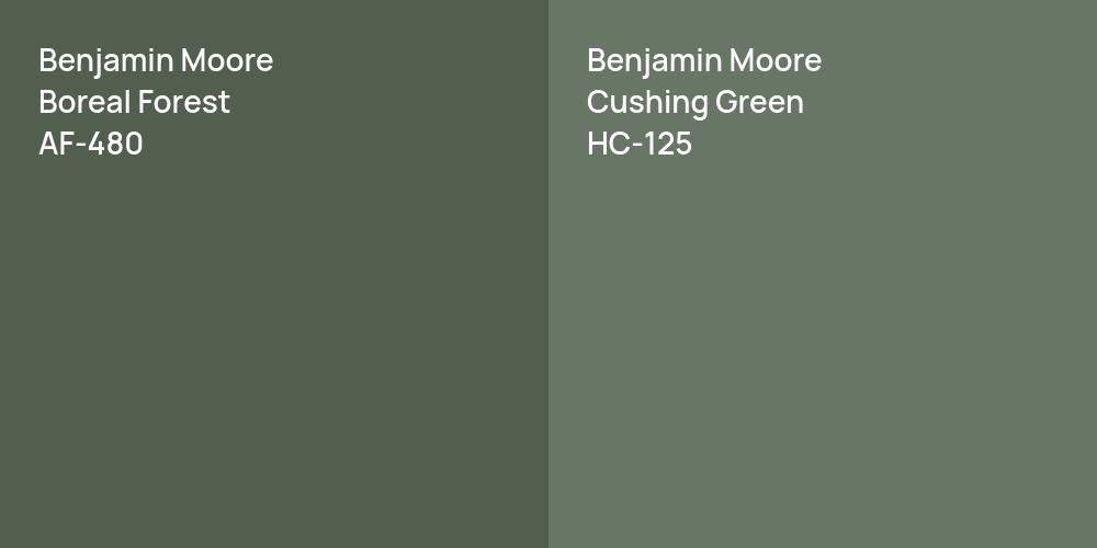 Benjamin Moore Boreal Forest vs. Benjamin Moore Cushing Green