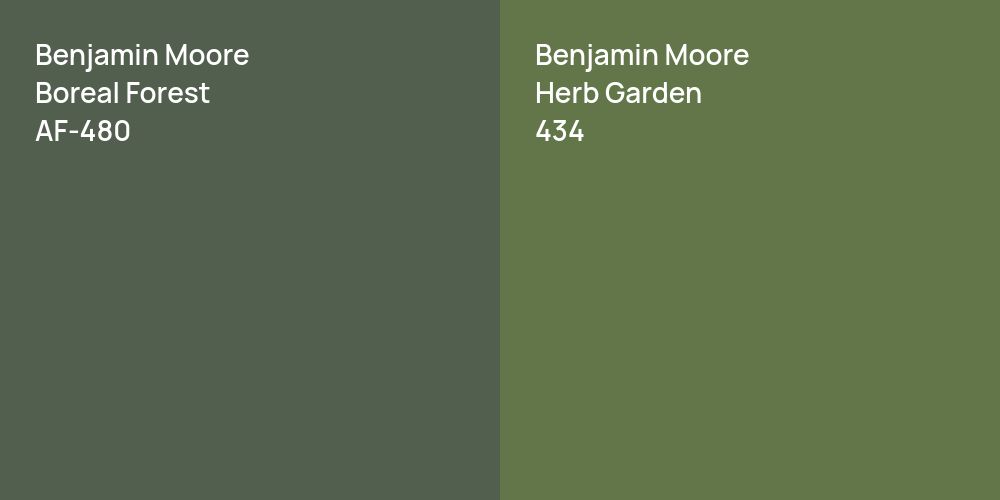 Benjamin Moore Boreal Forest vs. Benjamin Moore Herb Garden