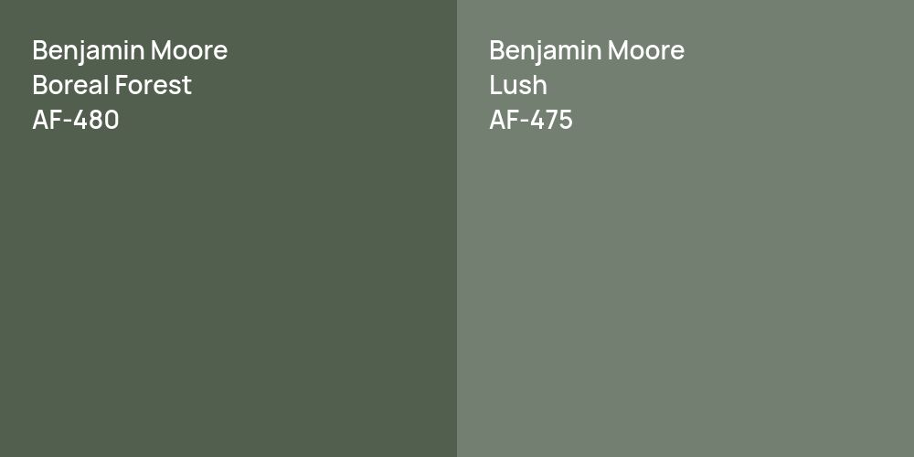 Benjamin Moore Boreal Forest vs. Benjamin Moore Lush