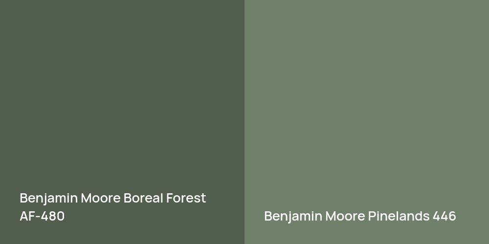 Benjamin Moore Boreal Forest vs. Benjamin Moore Pinelands