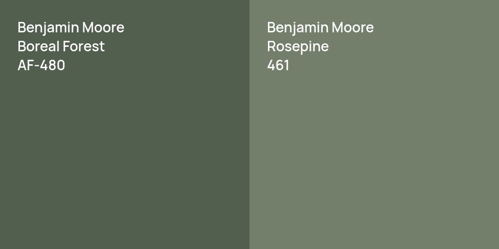 Benjamin Moore Boreal Forest vs. Benjamin Moore Rosepine