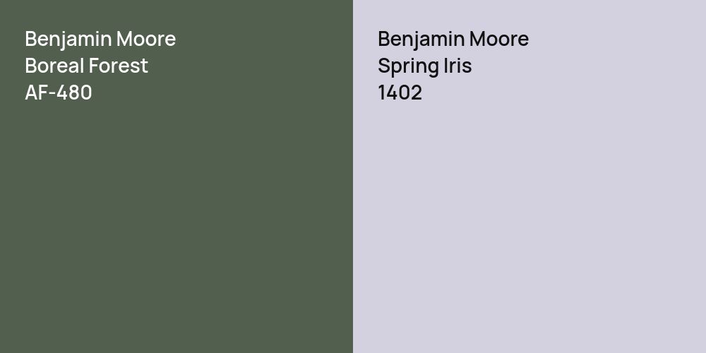 Benjamin Moore Boreal Forest vs. Benjamin Moore Spring Iris