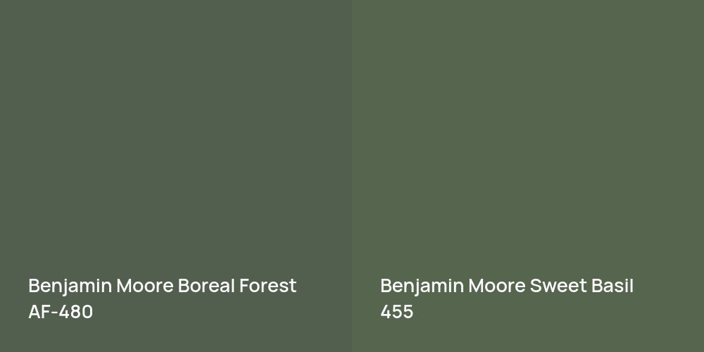 Benjamin Moore Boreal Forest vs. Benjamin Moore Sweet Basil