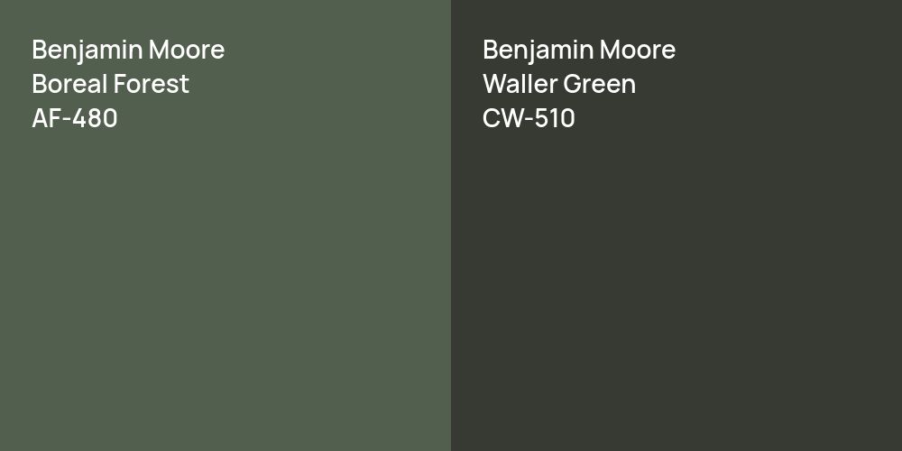 Benjamin Moore Boreal Forest vs. Benjamin Moore Waller Green