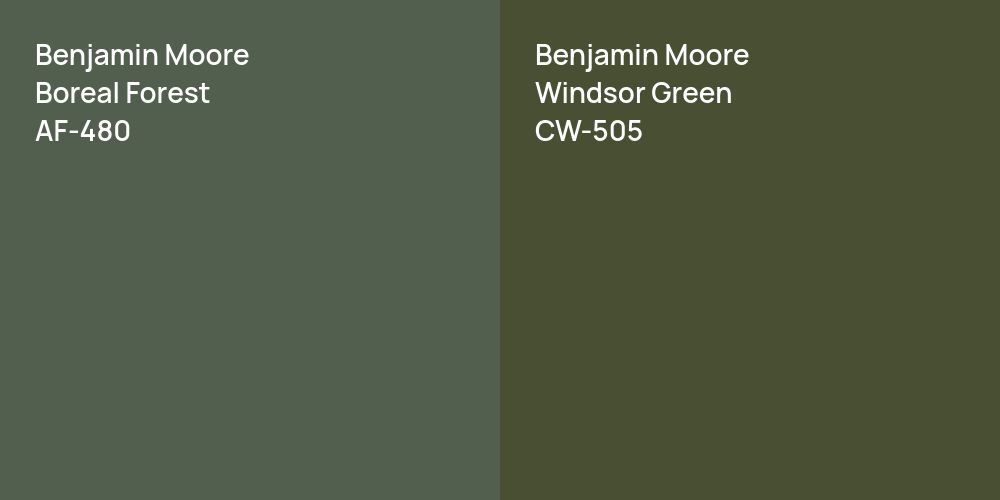 Benjamin Moore Boreal Forest vs. Benjamin Moore Windsor Green