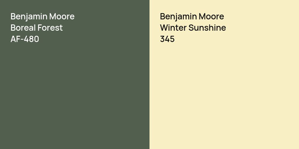 Benjamin Moore Boreal Forest vs. Benjamin Moore Winter Sunshine