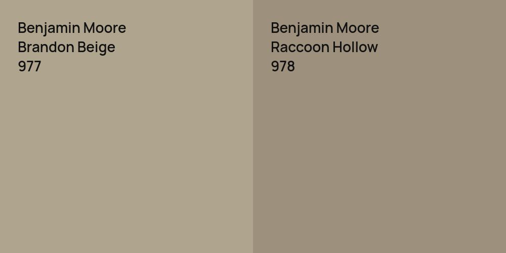 Benjamin Moore Brandon Beige vs. Benjamin Moore Raccoon Hollow