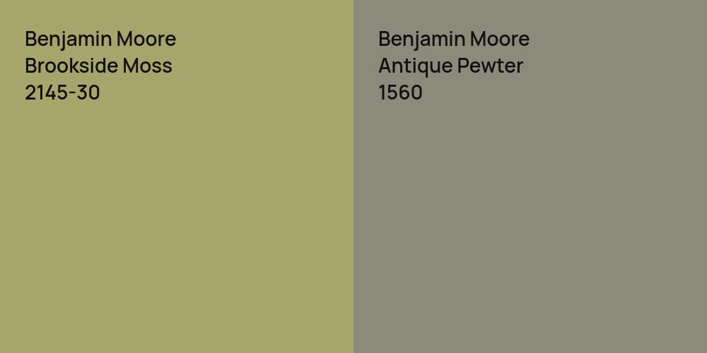 Benjamin Moore Brookside Moss vs. Benjamin Moore Antique Pewter