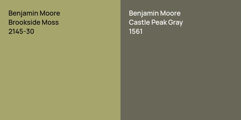 Benjamin Moore Brookside Moss vs. Benjamin Moore Castle Peak Gray