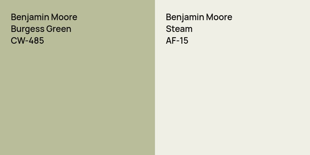 Benjamin Moore Burgess Green vs. Benjamin Moore Steam