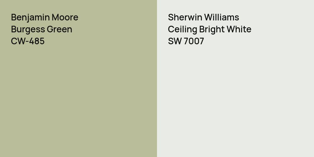 Benjamin Moore Burgess Green vs. Sherwin Williams Ceiling Bright White