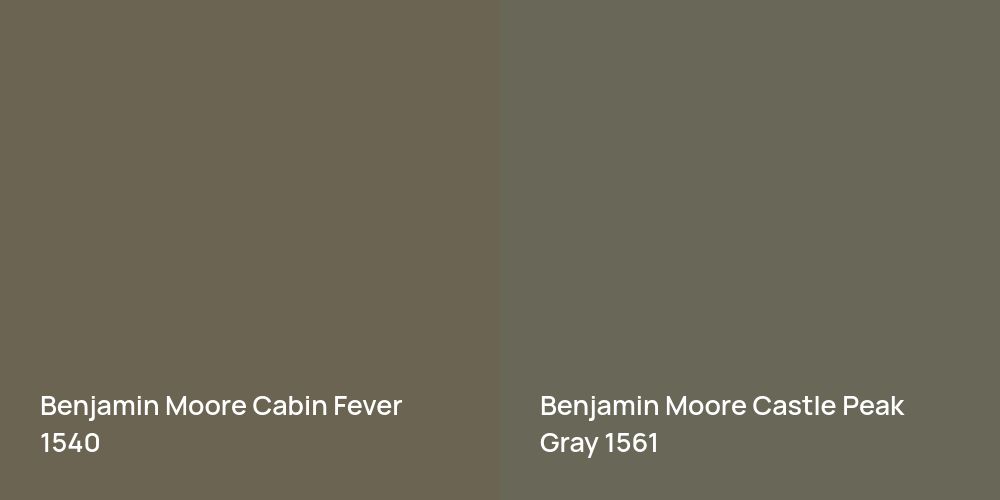 Benjamin Moore Cabin Fever vs. Benjamin Moore Castle Peak Gray