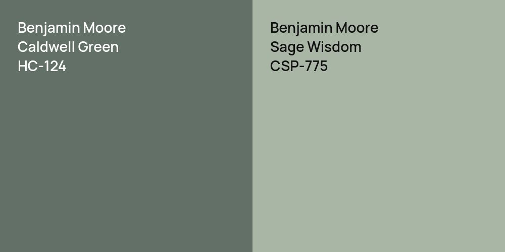 Benjamin Moore Caldwell Green vs. Benjamin Moore Sage Wisdom