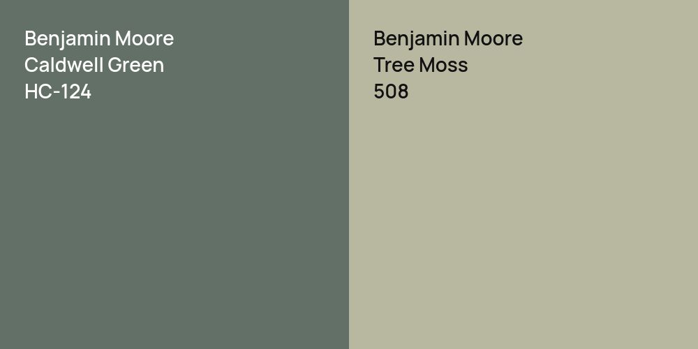 Benjamin Moore Caldwell Green vs. Benjamin Moore Tree Moss