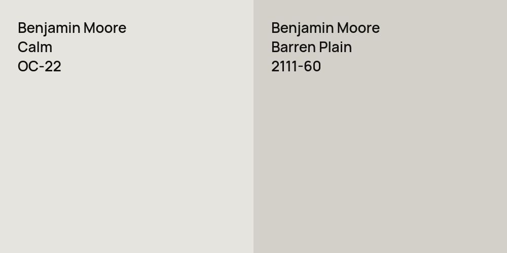 Benjamin Moore Calm vs. Benjamin Moore Barren Plain