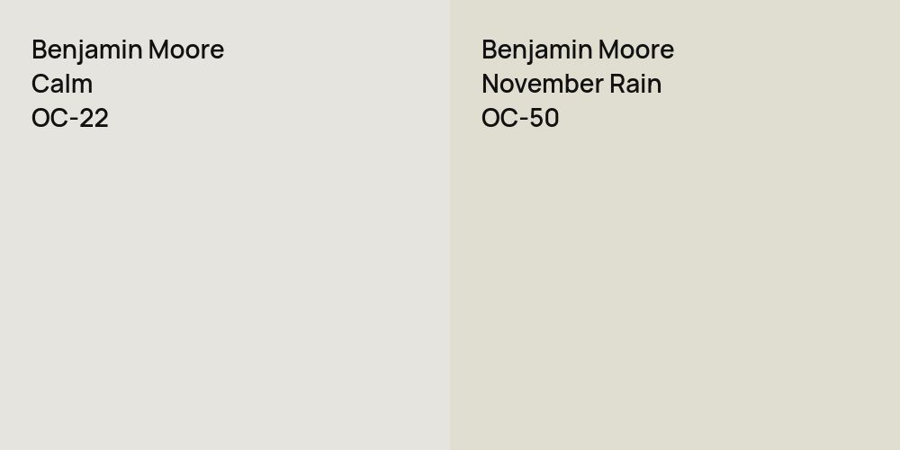 Benjamin Moore Calm vs. Benjamin Moore November Rain