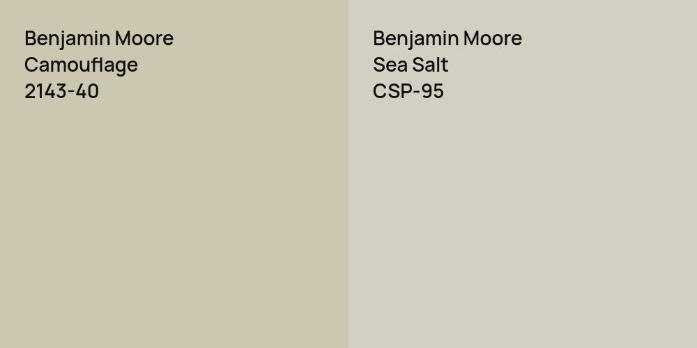 Benjamin Moore Camouflage vs. Benjamin Moore Sea Salt