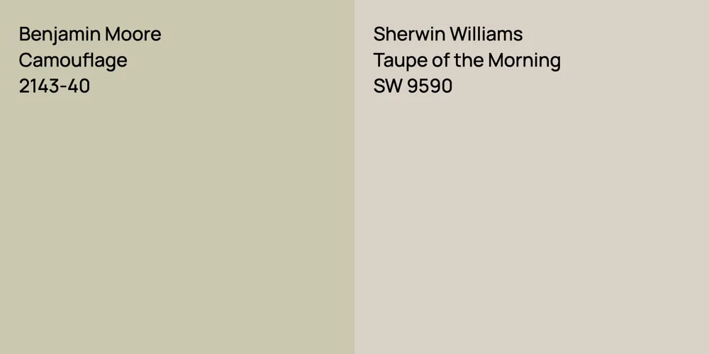 Benjamin Moore Camouflage vs. Sherwin Williams Taupe of the Morning