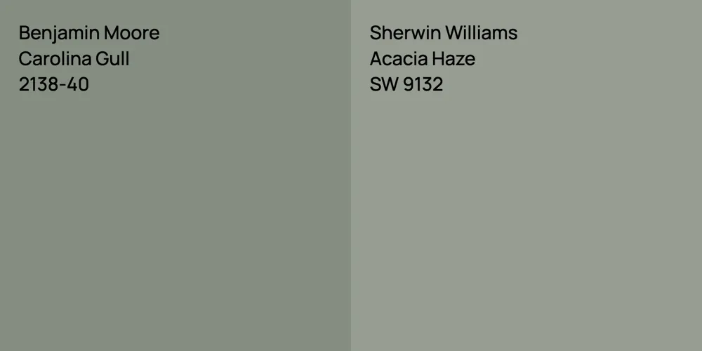 Benjamin Moore Carolina Gull vs. Sherwin Williams Acacia Haze