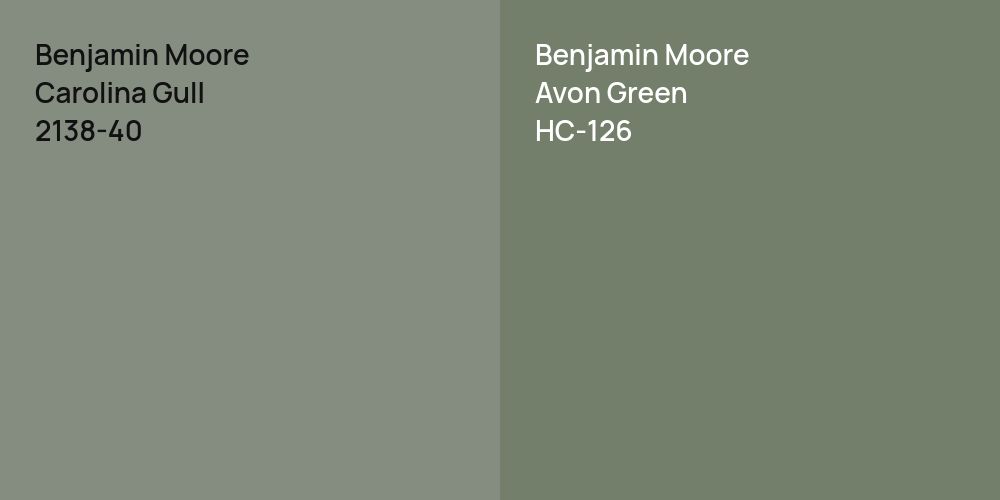 Benjamin Moore Carolina Gull vs. Benjamin Moore Avon Green