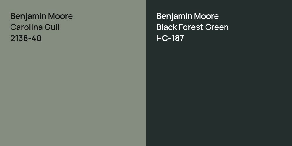 Benjamin Moore Carolina Gull vs. Benjamin Moore Black Forest Green