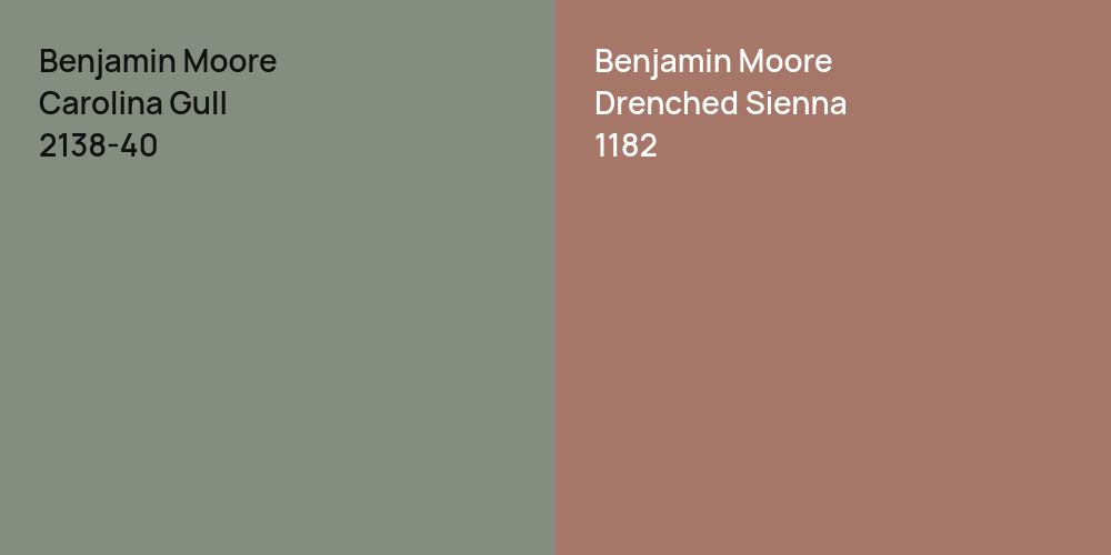 Benjamin Moore Carolina Gull vs. Benjamin Moore Drenched Sienna