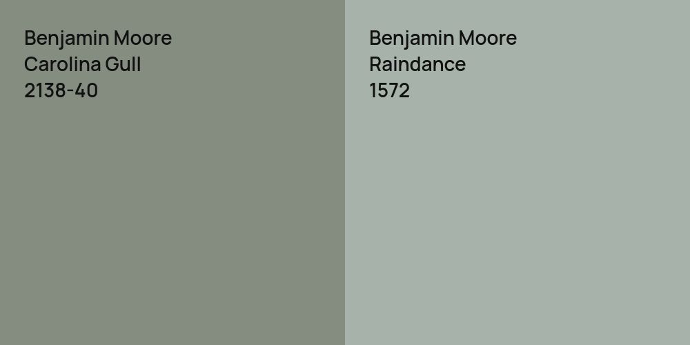 Benjamin Moore Carolina Gull vs. Benjamin Moore Raindance