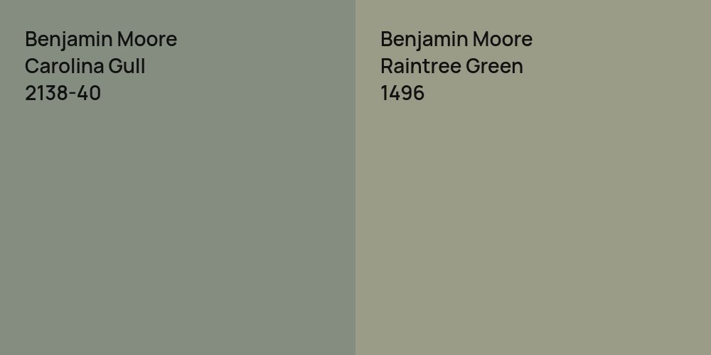 Benjamin Moore Carolina Gull vs. Benjamin Moore Raintree Green