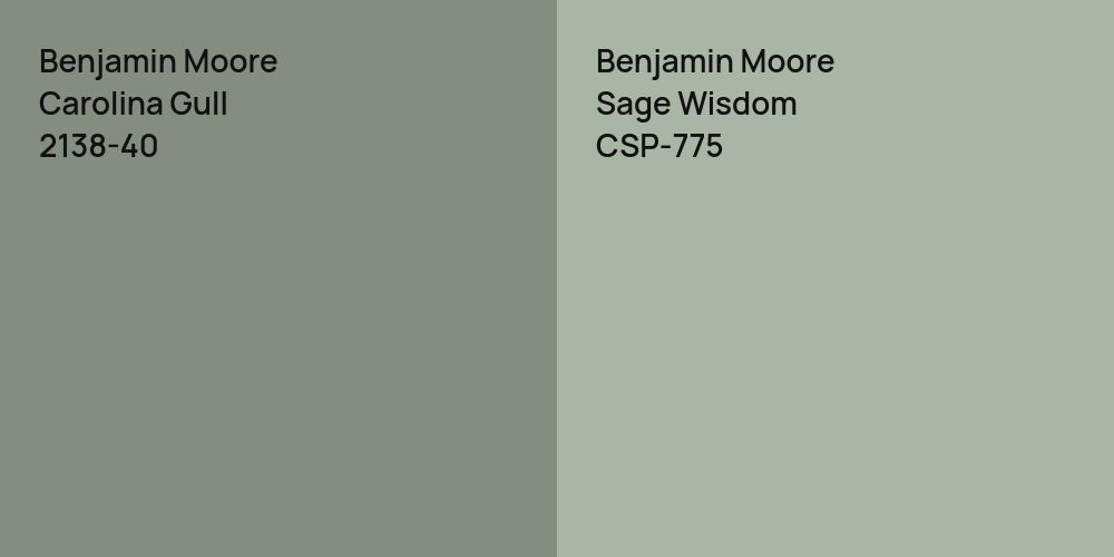 Benjamin Moore Carolina Gull vs. Benjamin Moore Sage Wisdom