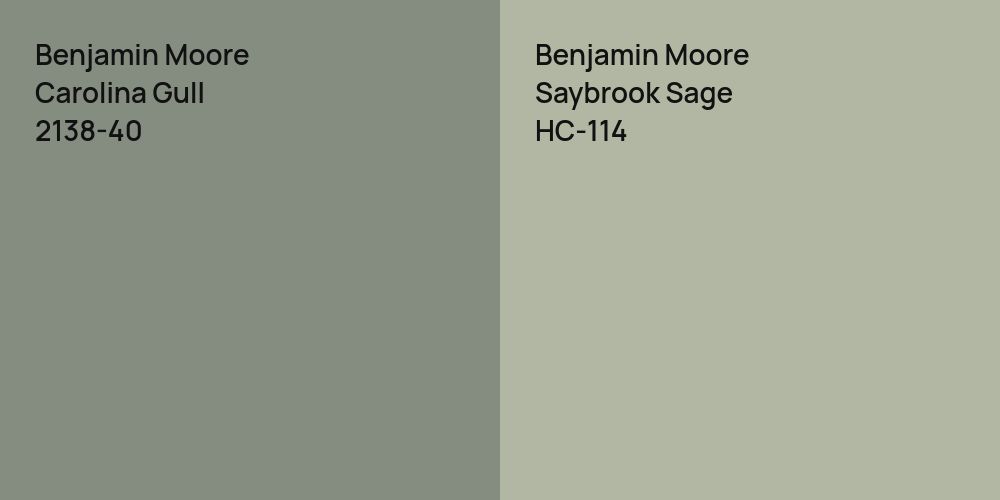 Benjamin Moore Carolina Gull vs. Benjamin Moore Saybrook Sage