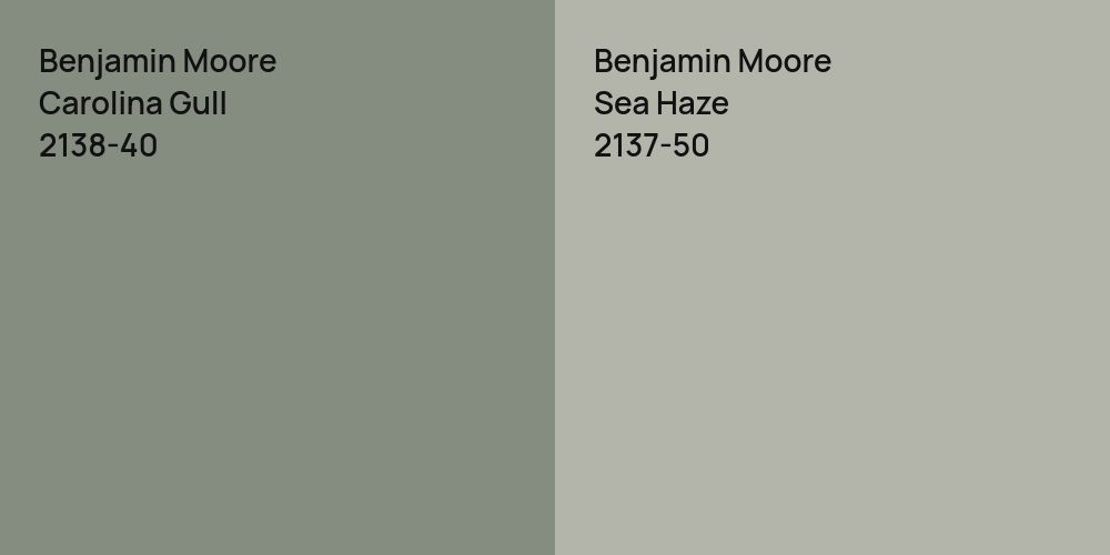 Benjamin Moore Carolina Gull vs. Benjamin Moore Sea Haze