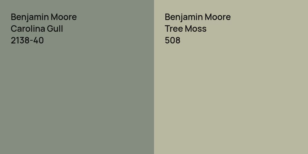 Benjamin Moore Carolina Gull vs. Benjamin Moore Tree Moss