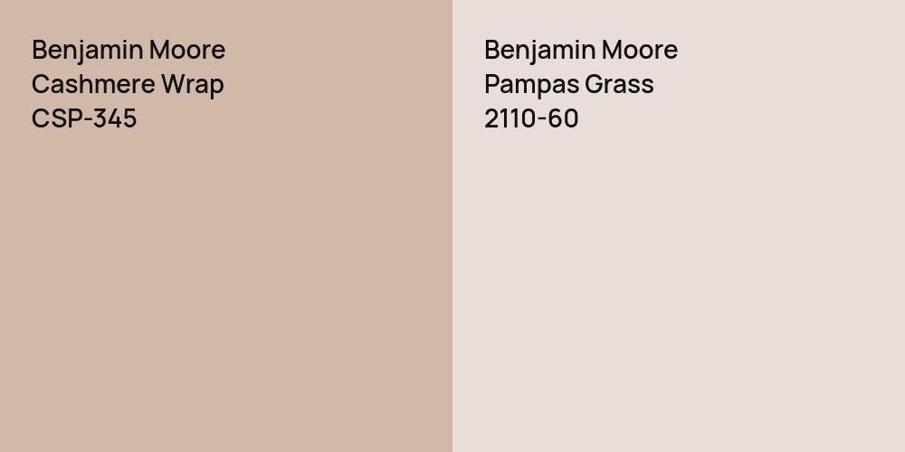 Benjamin Moore Cashmere Wrap vs. Benjamin Moore Pampas Grass