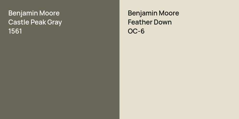 Benjamin Moore Castle Peak Gray vs. Benjamin Moore Feather Down