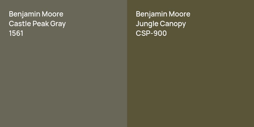 Benjamin Moore Castle Peak Gray vs. Benjamin Moore Jungle Canopy