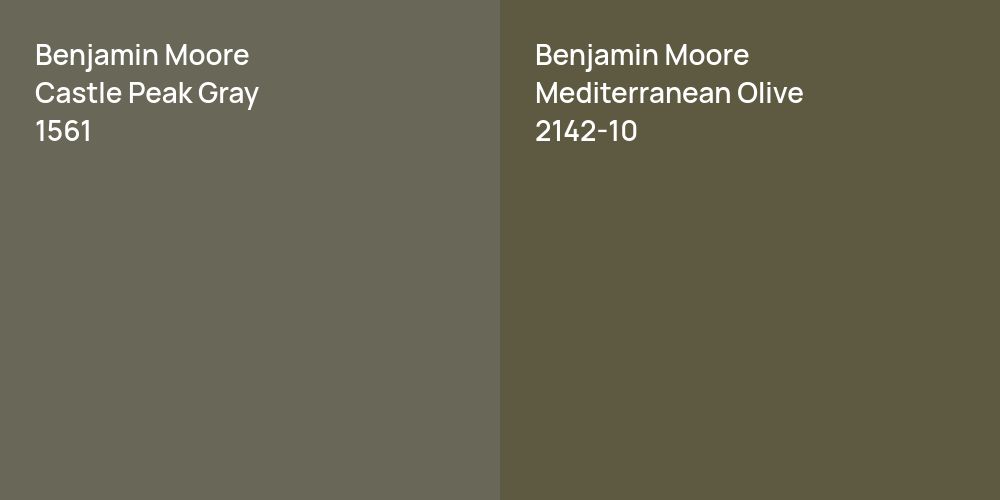 Benjamin Moore Castle Peak Gray vs. Benjamin Moore Mediterranean Olive