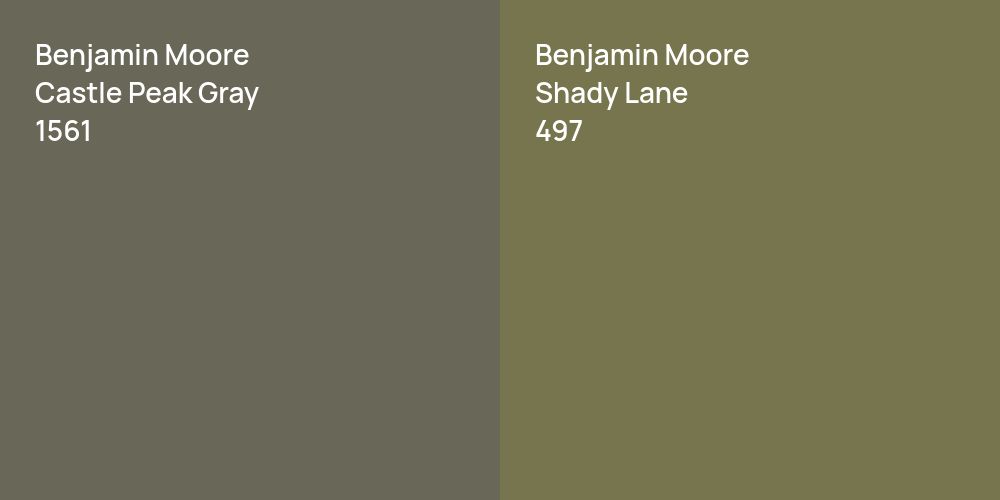 Benjamin Moore Castle Peak Gray vs. Benjamin Moore Shady Lane